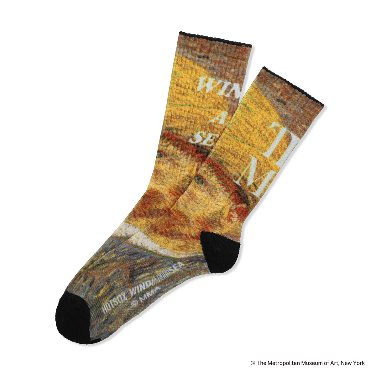 【WIND AND SEAコラボ】Art Print Socks