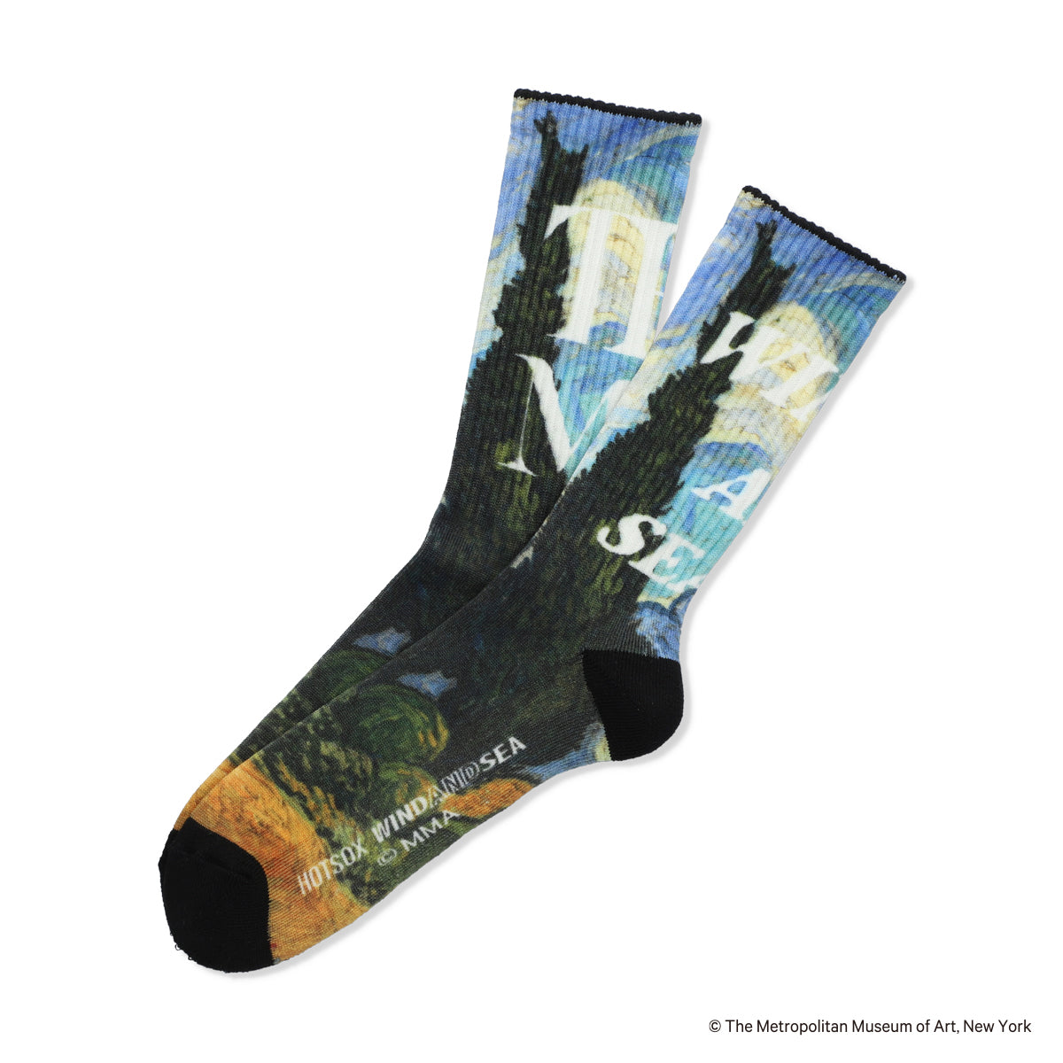 【WIND AND SEAコラボ】Art Print Socks