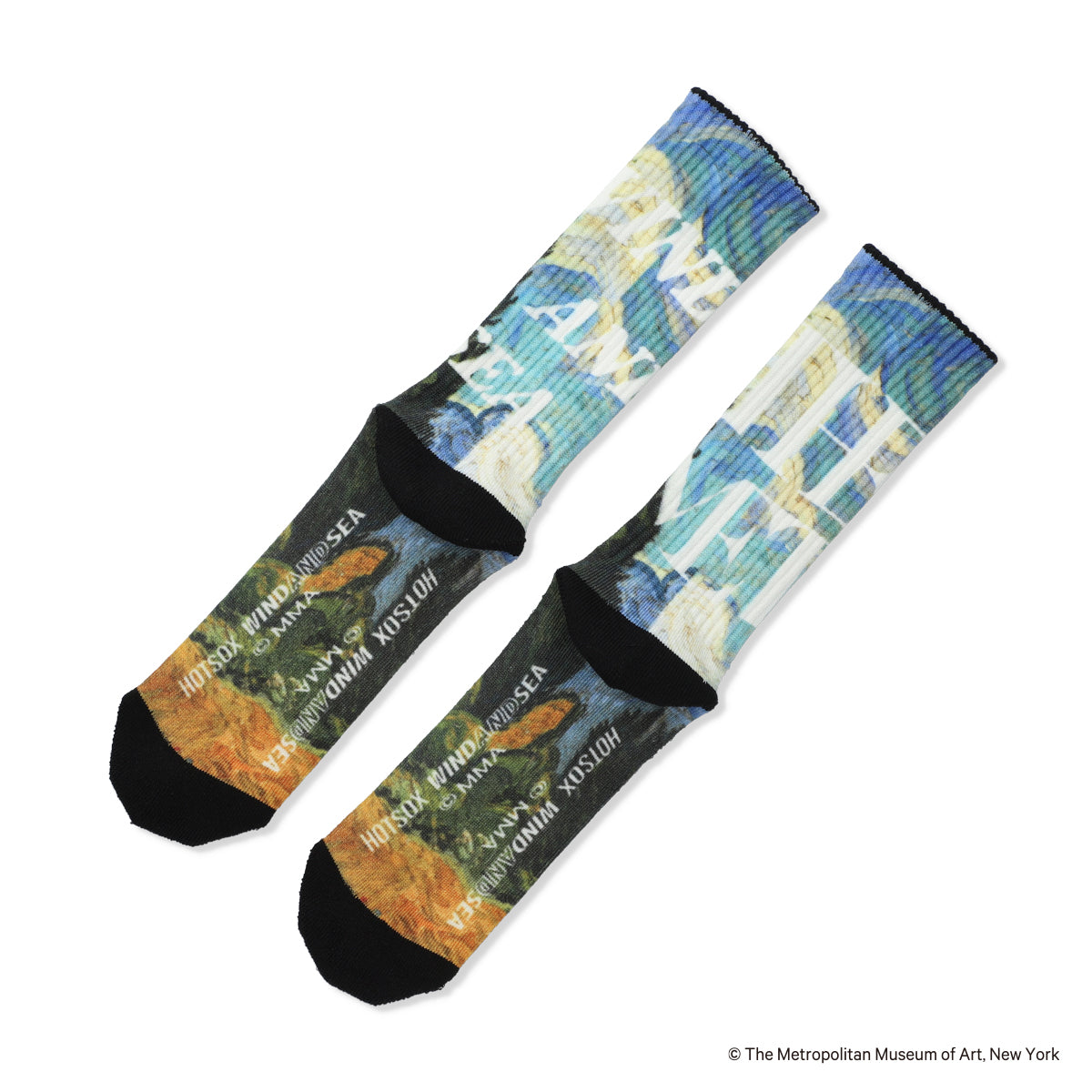 【WIND AND SEAコラボ】Art Print Socks